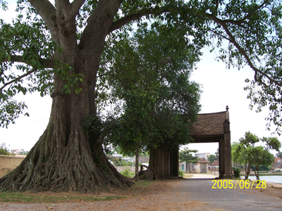 Cổng làng Mông Phụ Gate of Mông Phụ Village